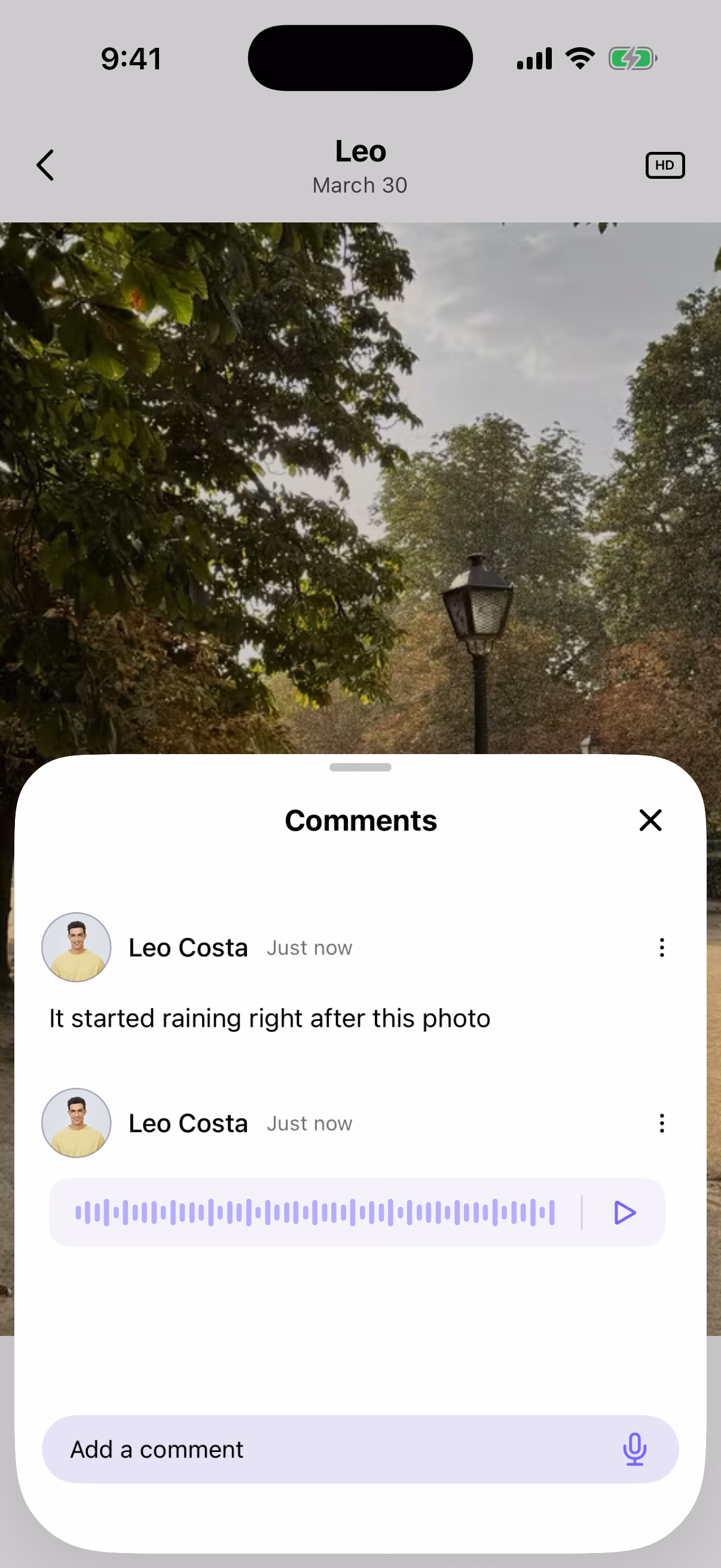 Comments & voice notes