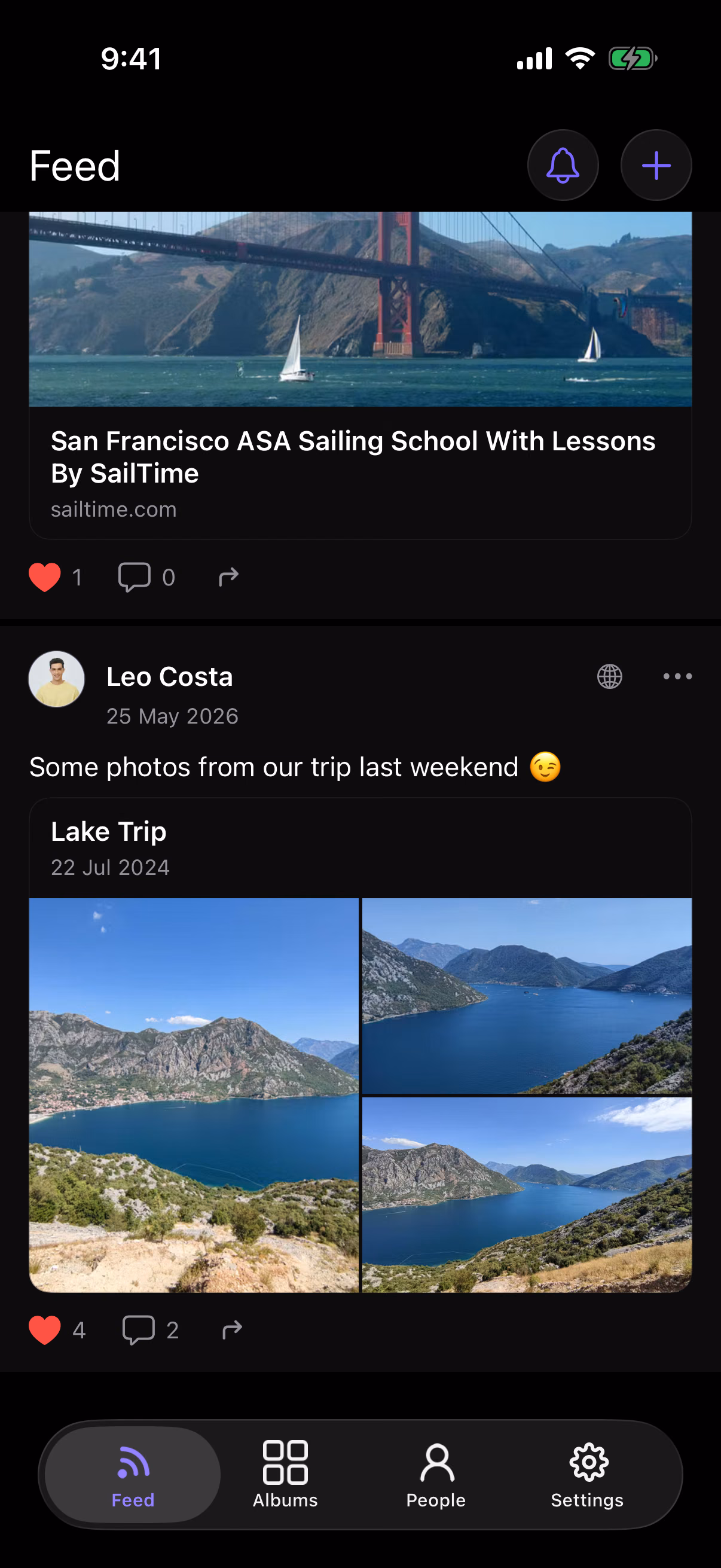 PicPocket Feed Interface