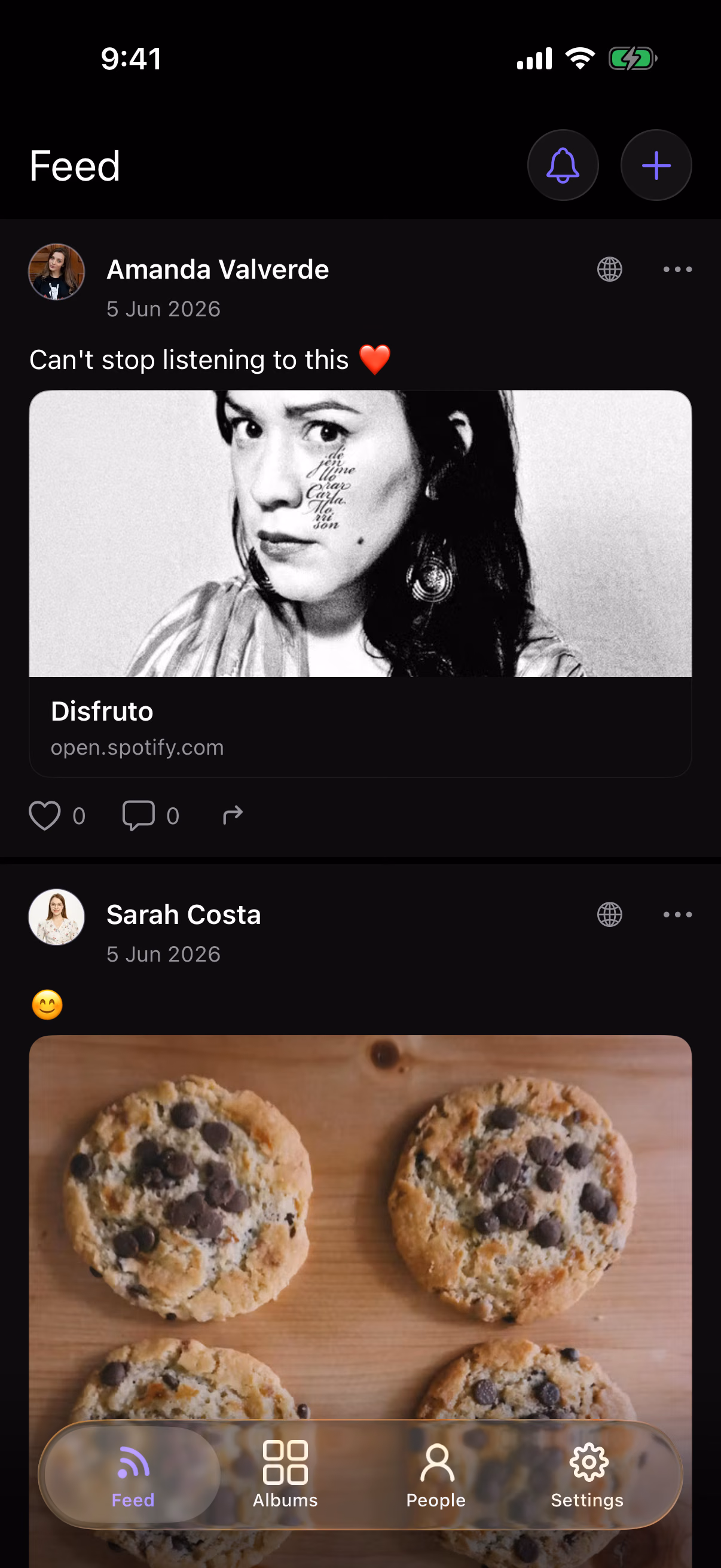 PicPocket Feed Interface